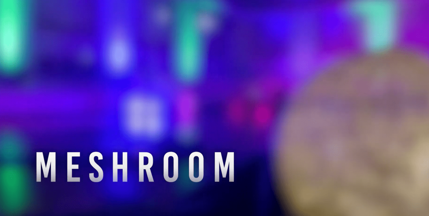 Labanotation: Scores of Not Knowing Labanotation