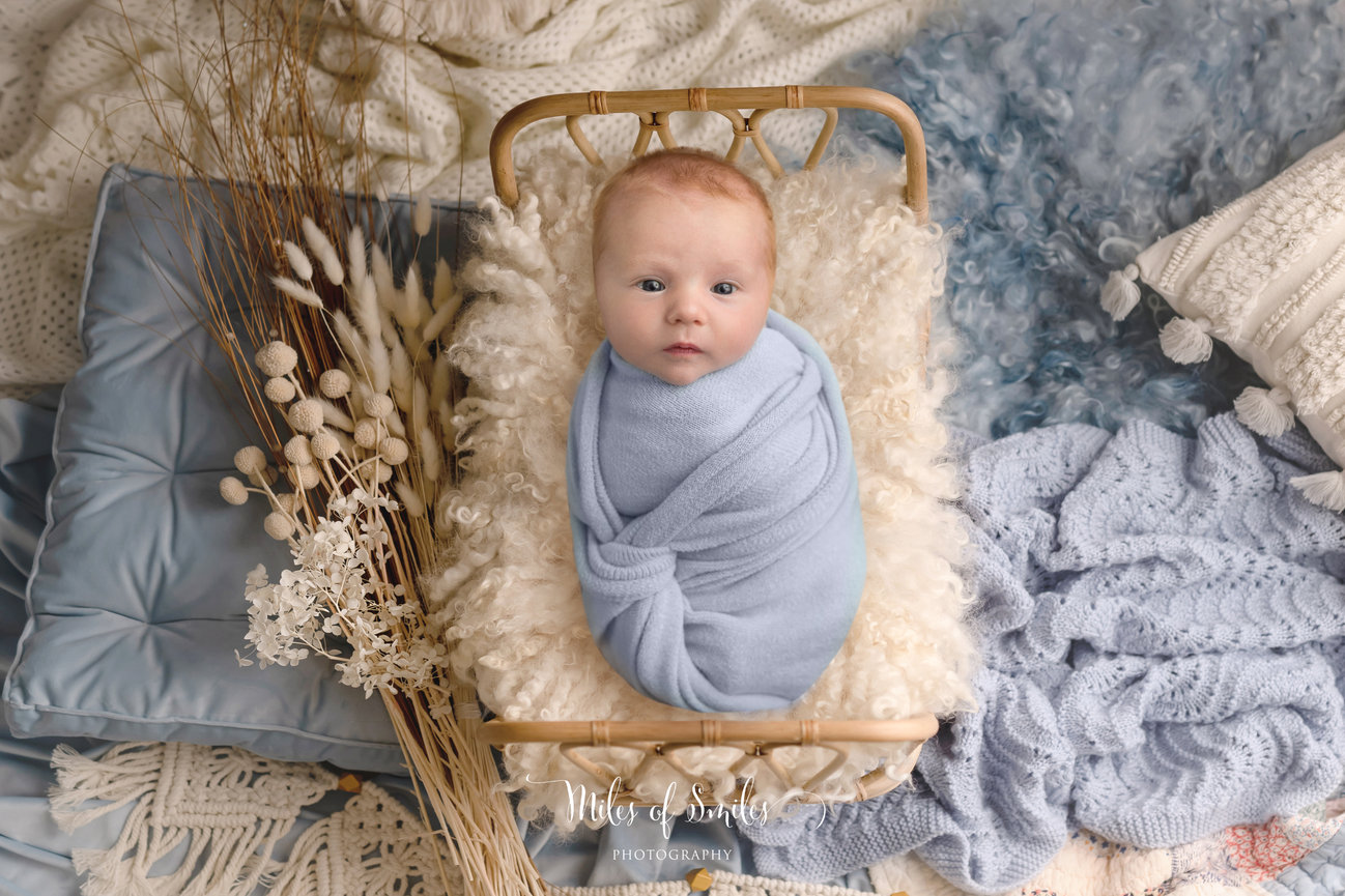 Alayna's Studio Newborn Session {Austin Newborn Photographer}