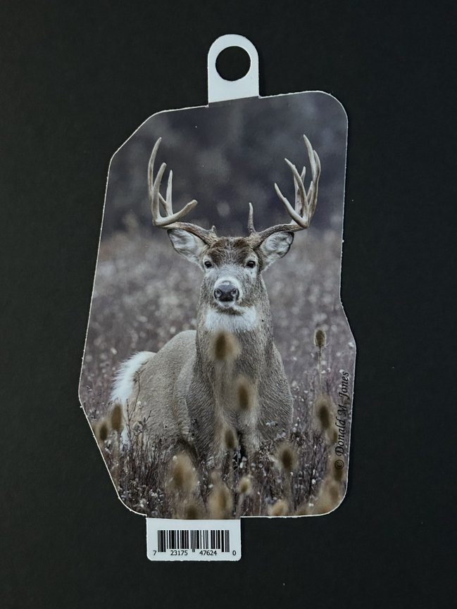 Whitetail Deer S6 704
