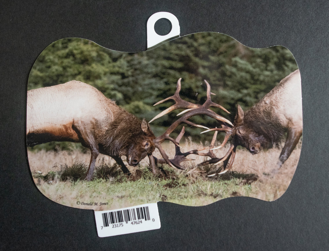 Bull Elk S4 709