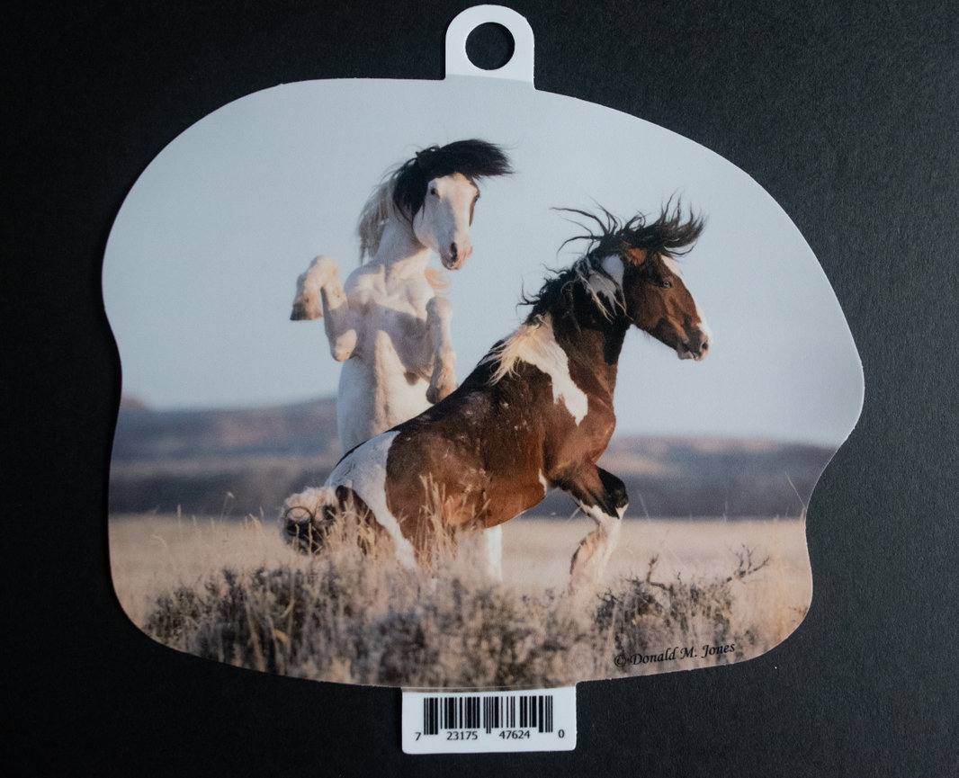 Wild Horse S6 736