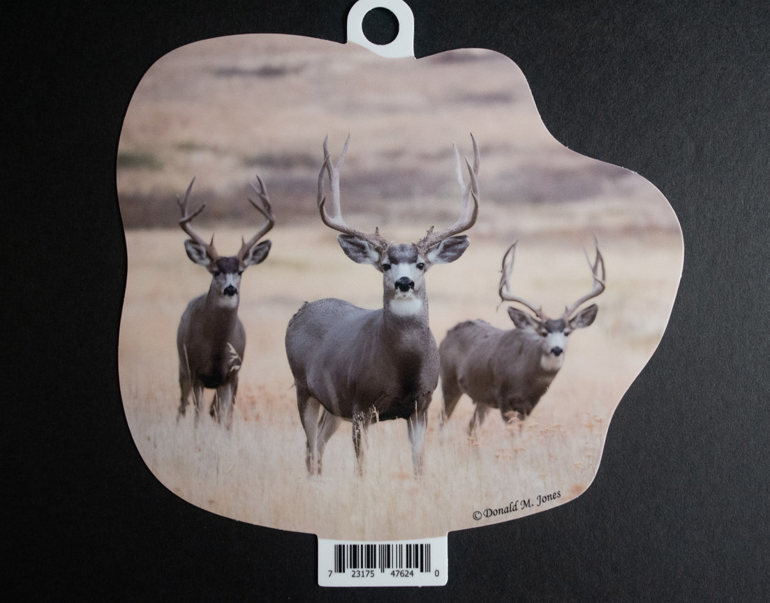 Mule Buck S6 712