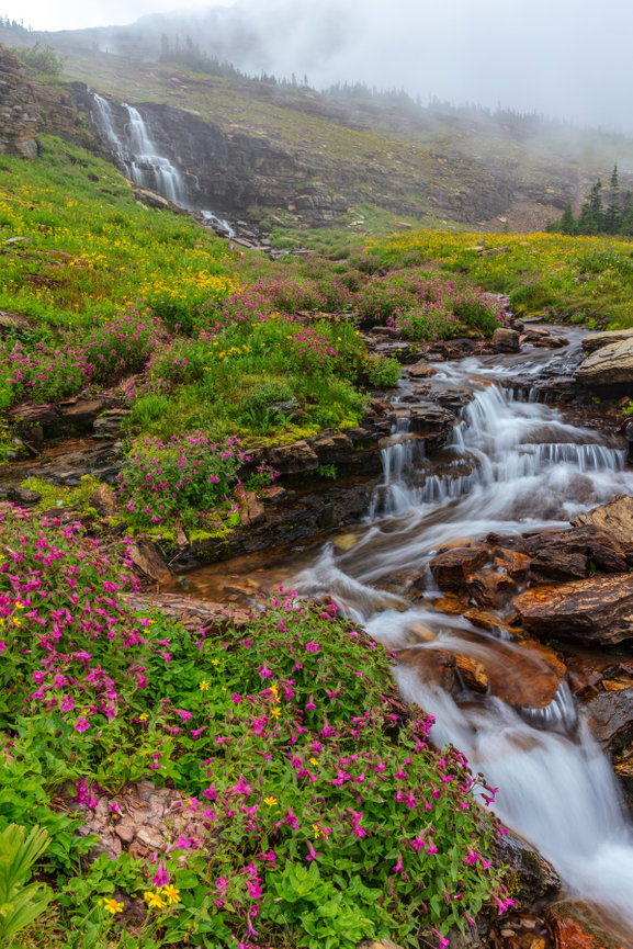 Oberlin Creek Flowers CH 4171