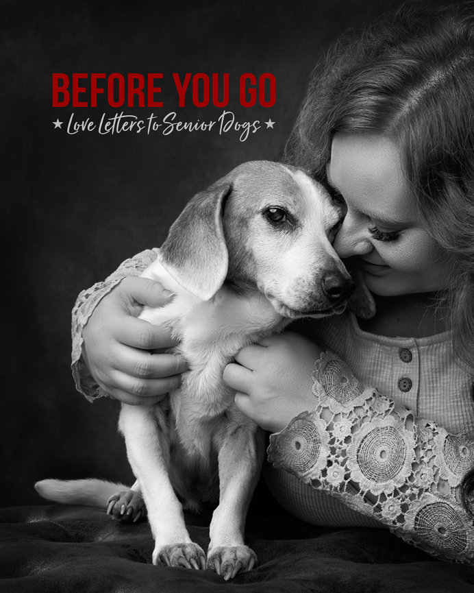 Celebrating Senior Dog - Before You Go: Love Letters To Senior Dogs