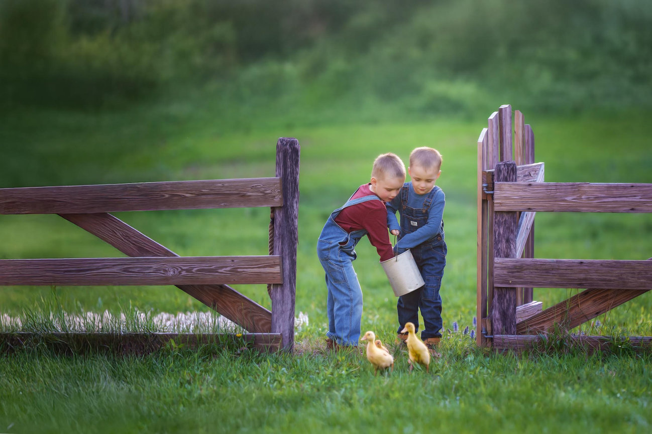 Custom Fairy Sessions for Pittsburgh, Mars and Cranberry Township