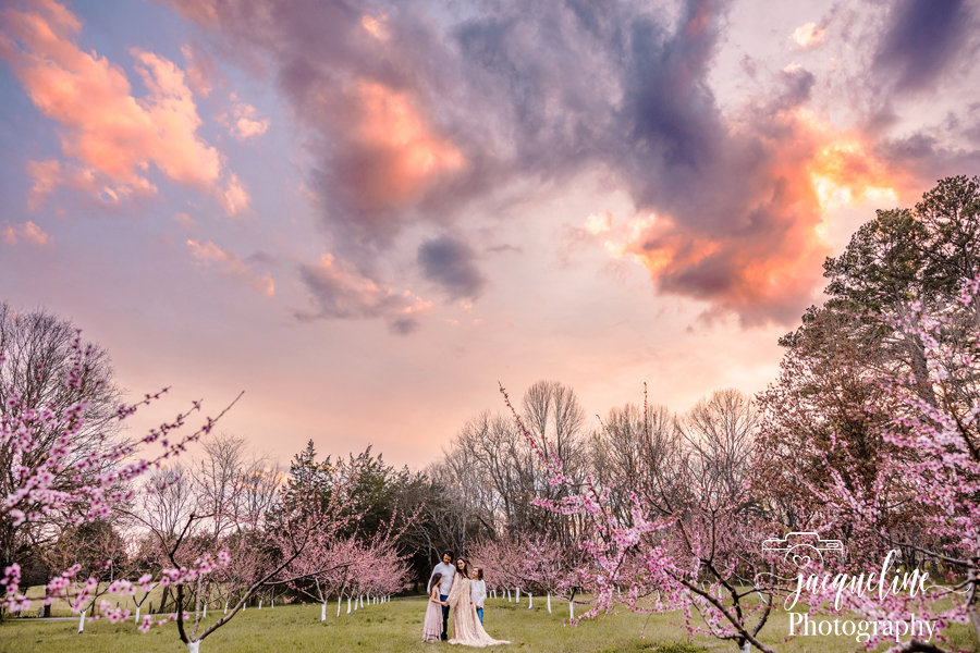 The Garibay Family in the Peach Blossoms