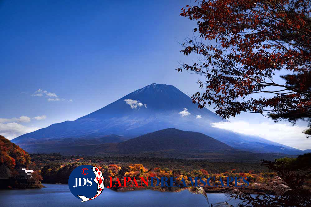 Japan Autumn Leaves Tour – Capture the Colors of Fall with JDS