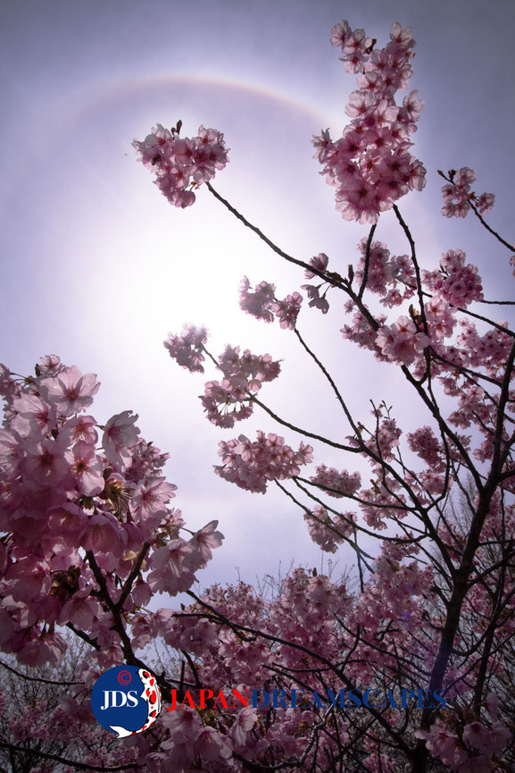 Exploring Authentic Mt. Fuji - JAPAN Photography Tour