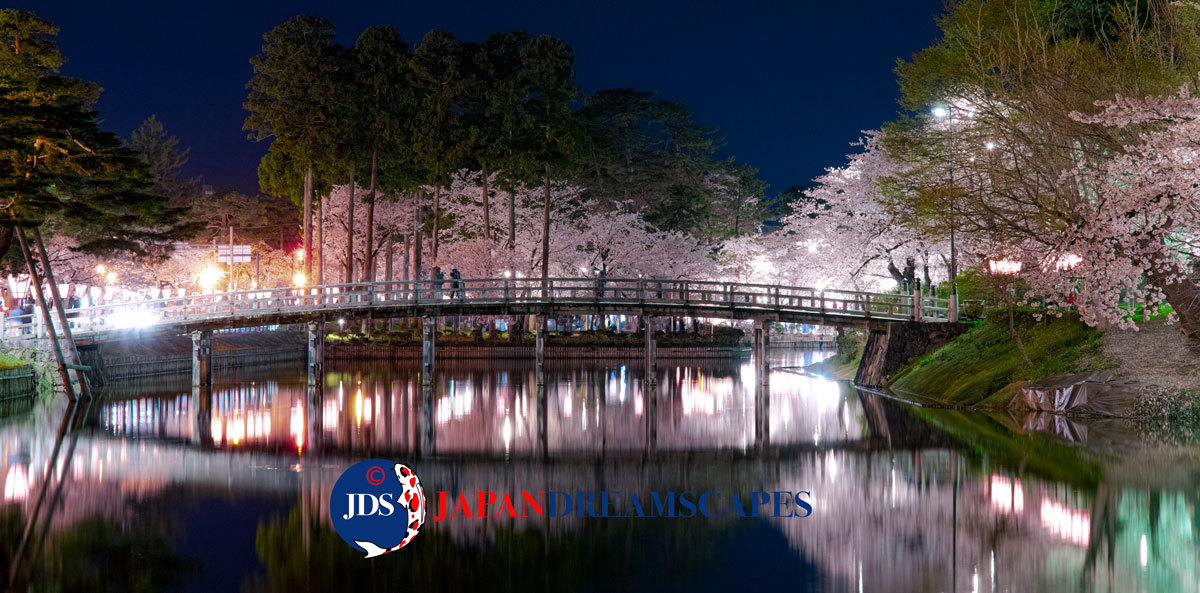 Exploring Hakone’s Hidden Cherry Blossom Photography Gems