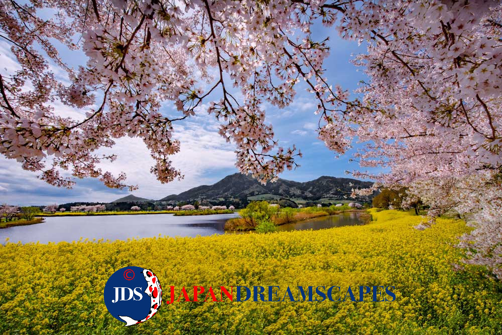 Yahiko Shrine: Discover Niigata’s Hidden Power Spot and Autumn Photography Paradise