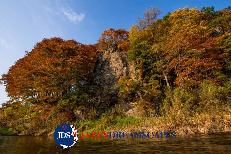 Japan Autumn Leaves Tour – Capture the Colors of Fall with JDS