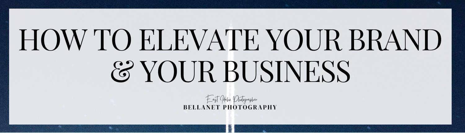 Nick and Eva Sweet Water Hollow Salmon Idaho Idaho Wedding