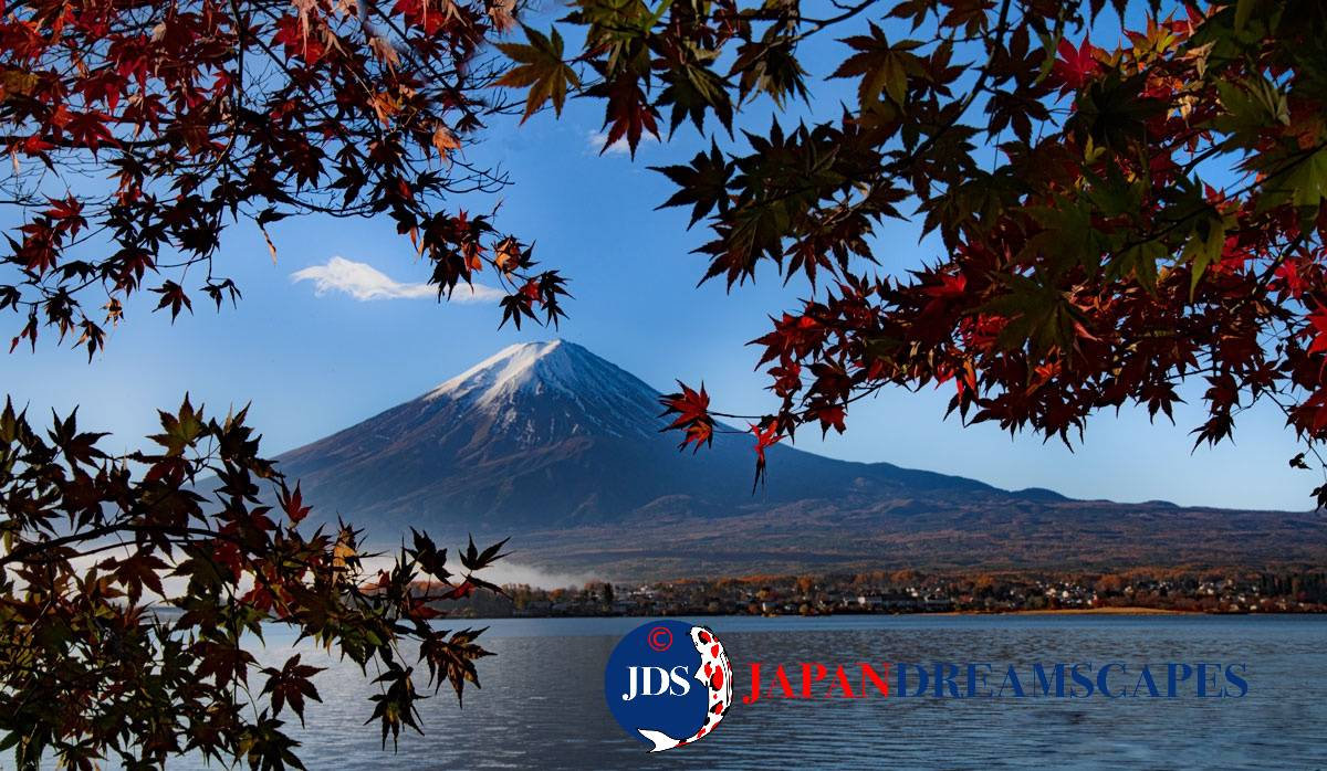 Autumn Leaves Photography Tour at Mt. Fuji and the Fuji Five Lakes