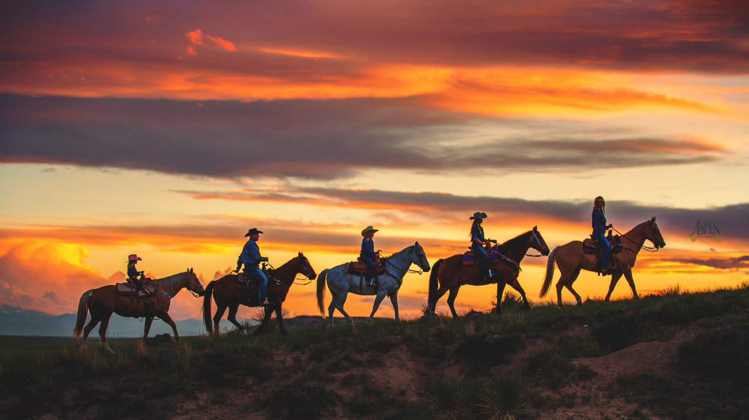 Learning To Paint The Cliffs