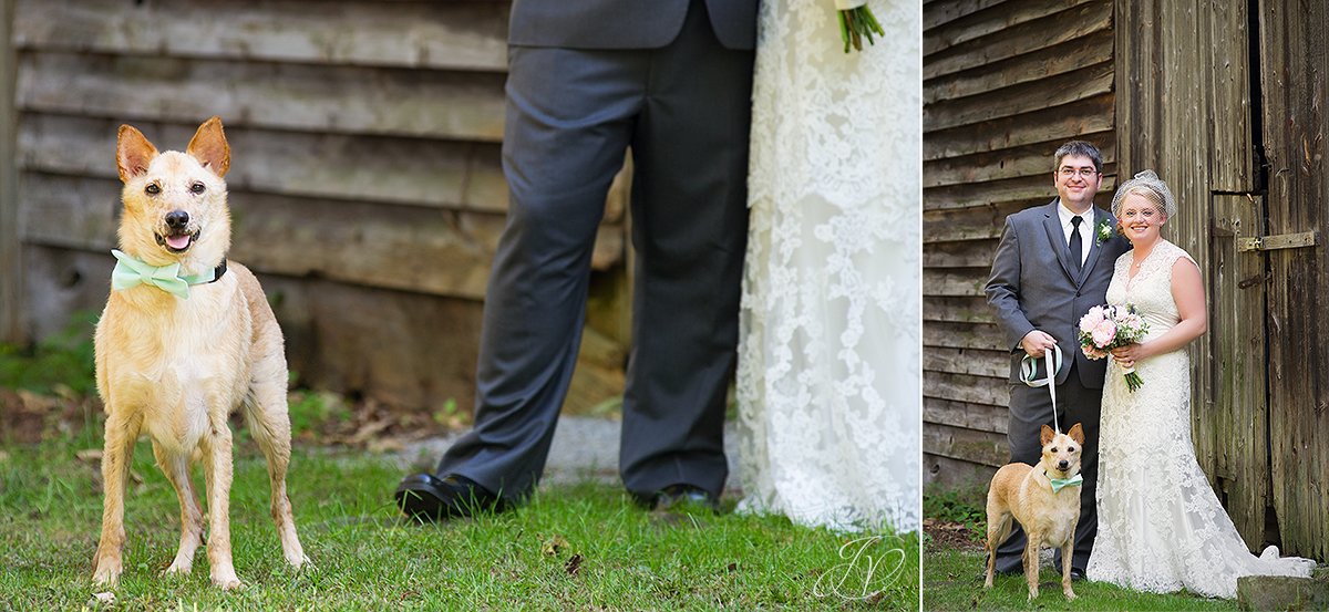 doggy bridal portrait, bride and groom with dog