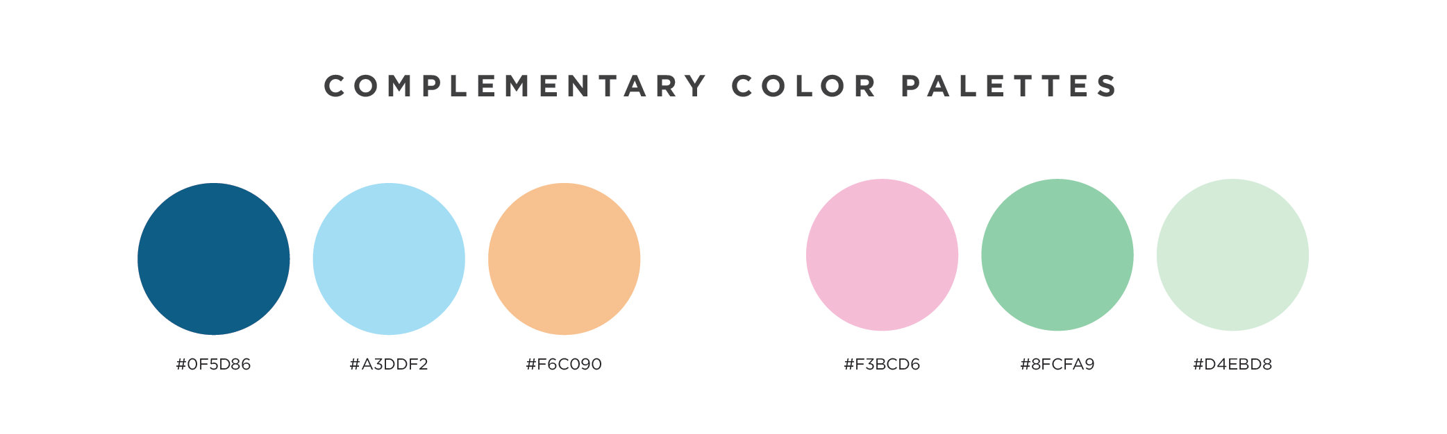 Color Palettes For Your Website Zibster Growth Hub