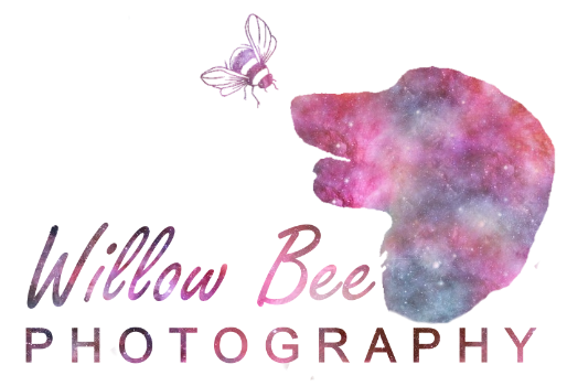 Willow Bee Photography Logo