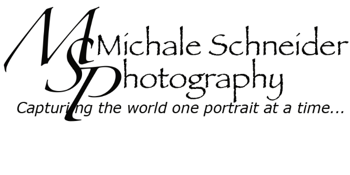 Michale Schneider Logo