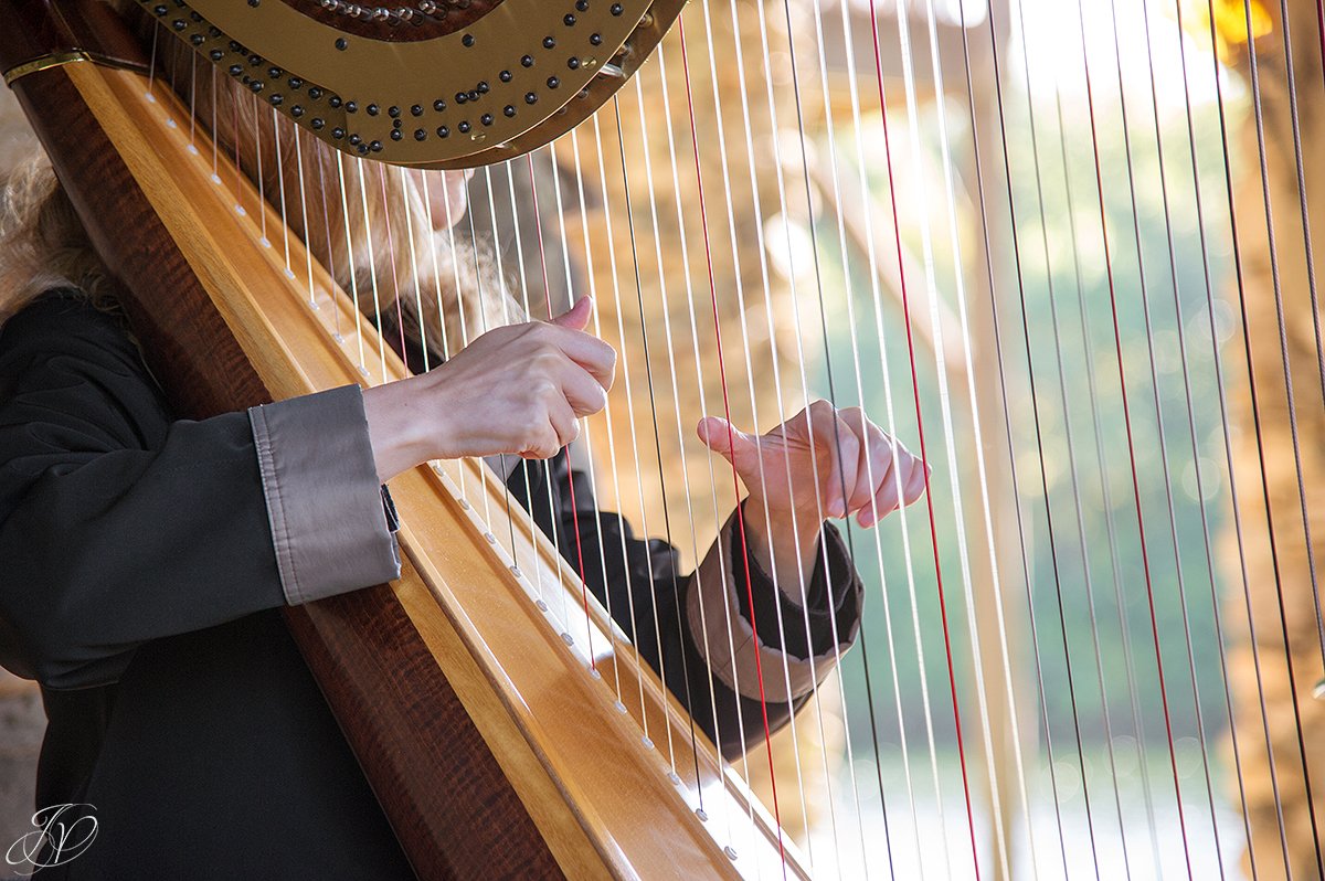 harpist at ceremony