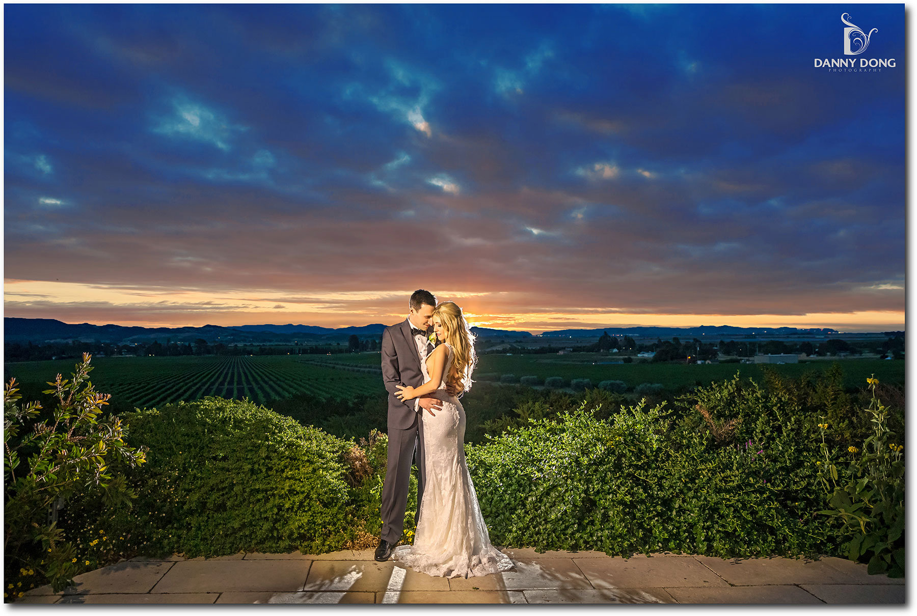 MISSION SONOMA & GLORIA FERRER WINERY WEDDING : SONOMA, CA - Danny Dong  Photography