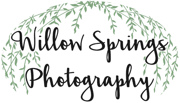 Willow Springs Photography Logo