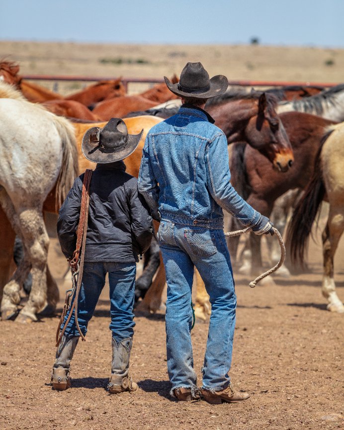 Cowboys of West Texas (o6 Ranch) 