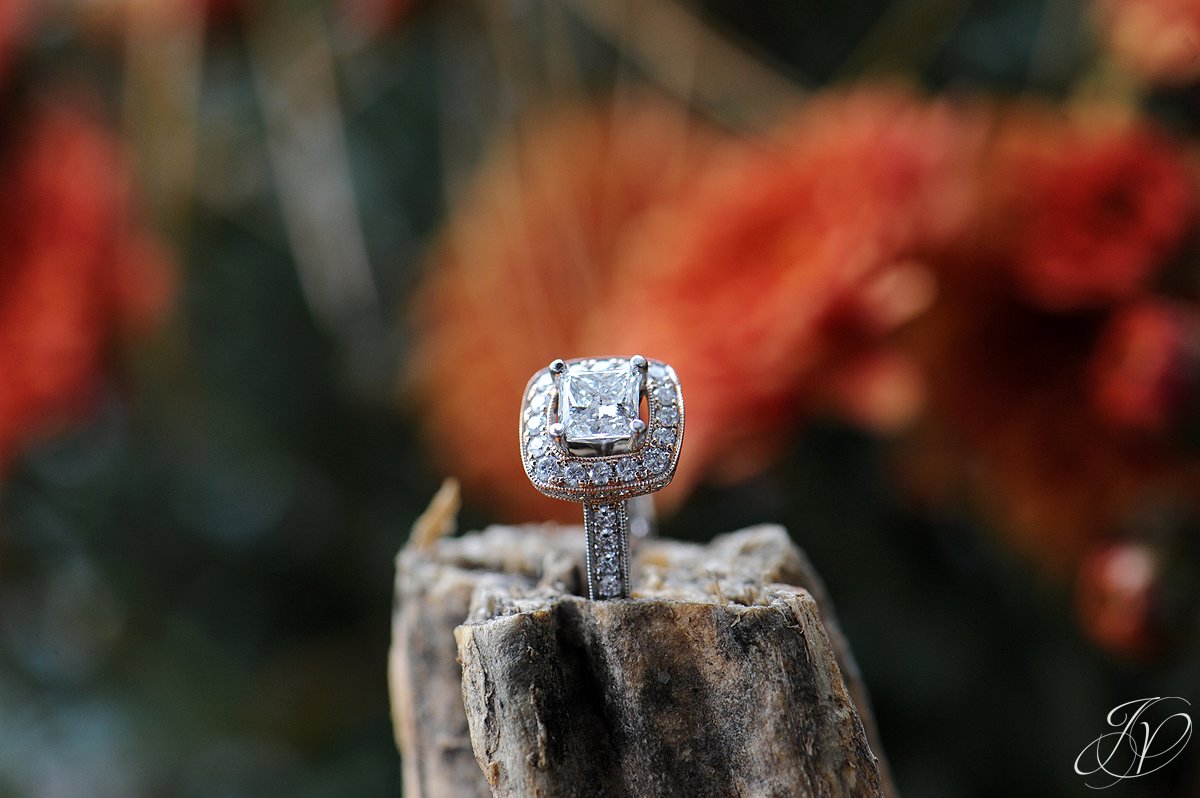 lake placid wedding, Wedding at the Lake Placid Crowne Plaza, Lake Placid Wedding Photographer, wedding ring detail photo