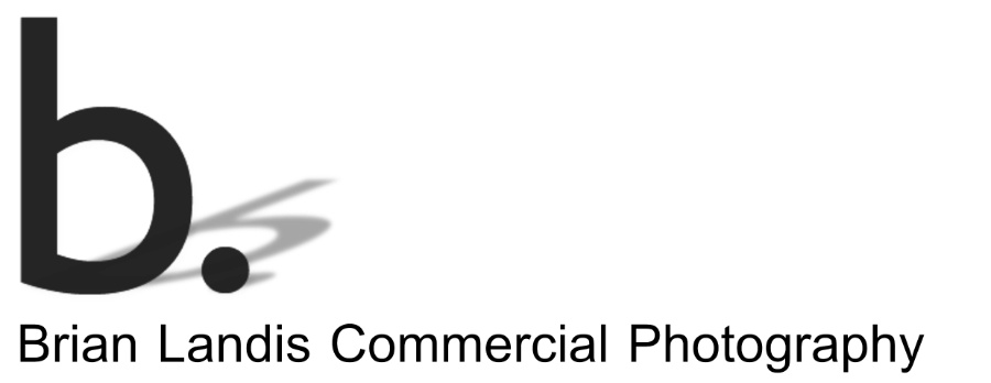 Brian Landis Logo