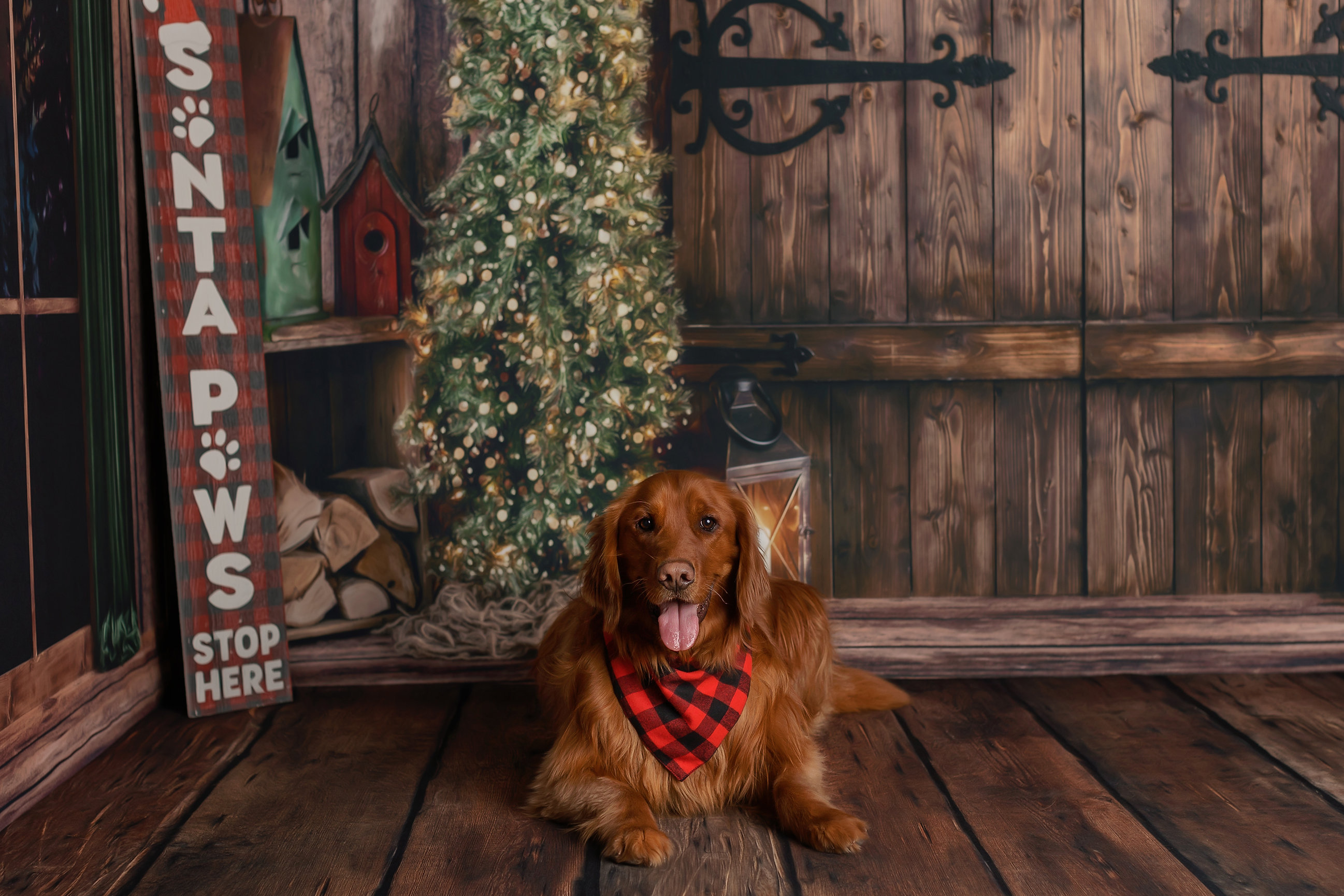Craigslist Appleton Wisconsin Pets - j3ncj7o