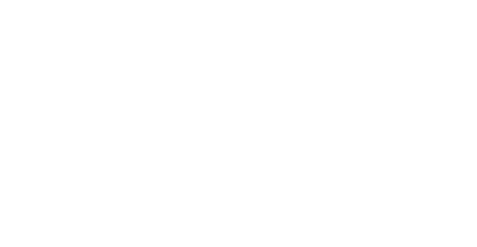 David Levy Photography Logo