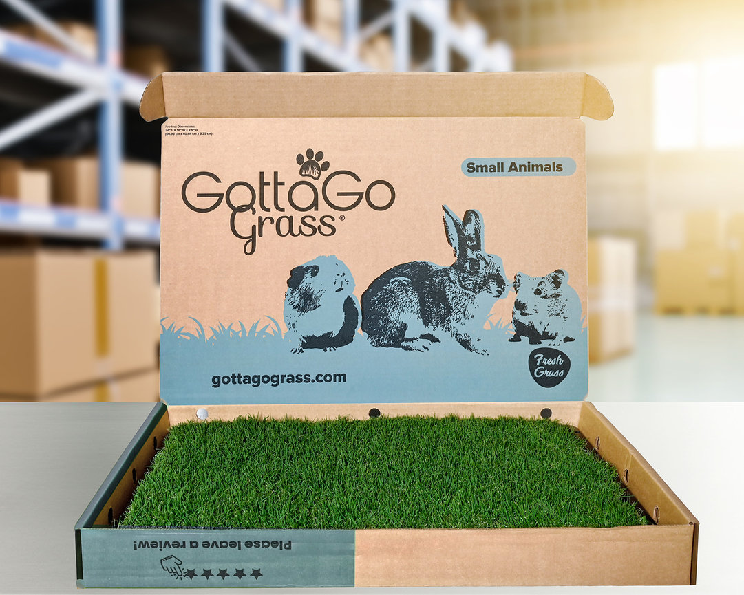 Box of GottaGo Grass containing fresh grass for small animals, set against a blurred warehouse background.