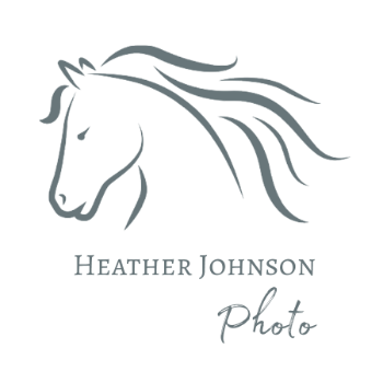 HEATHER JOHNSON PHOTO Logo