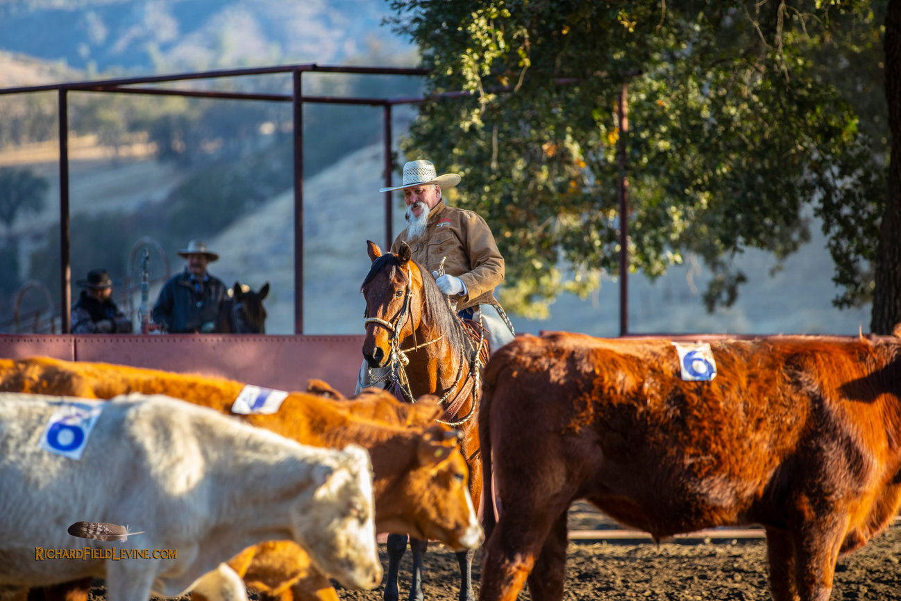 Professional imagery inspired by ranch traditions and small business branding, crafted by Richard Field Levine Photography in the western United States.