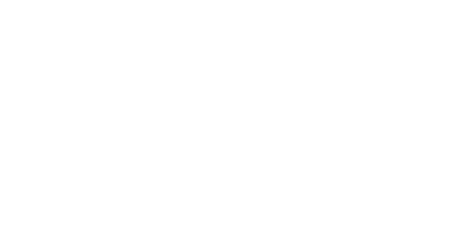 Swartz Portraits Logo