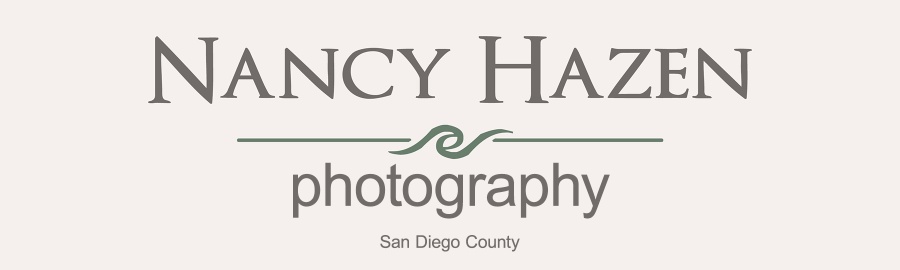 Nancy H. Hazen Photography Logo