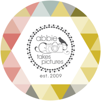 Abbie Takes Pictures Logo