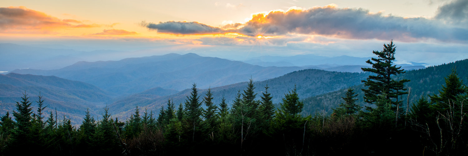 Wildlife & Landscape Photography Image Gallery | LeAnn Stamper