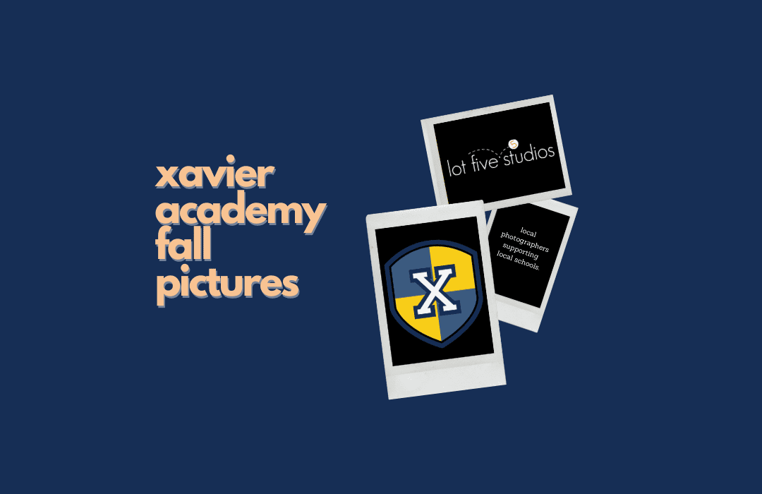 Xavier2223 Lot Five Studios