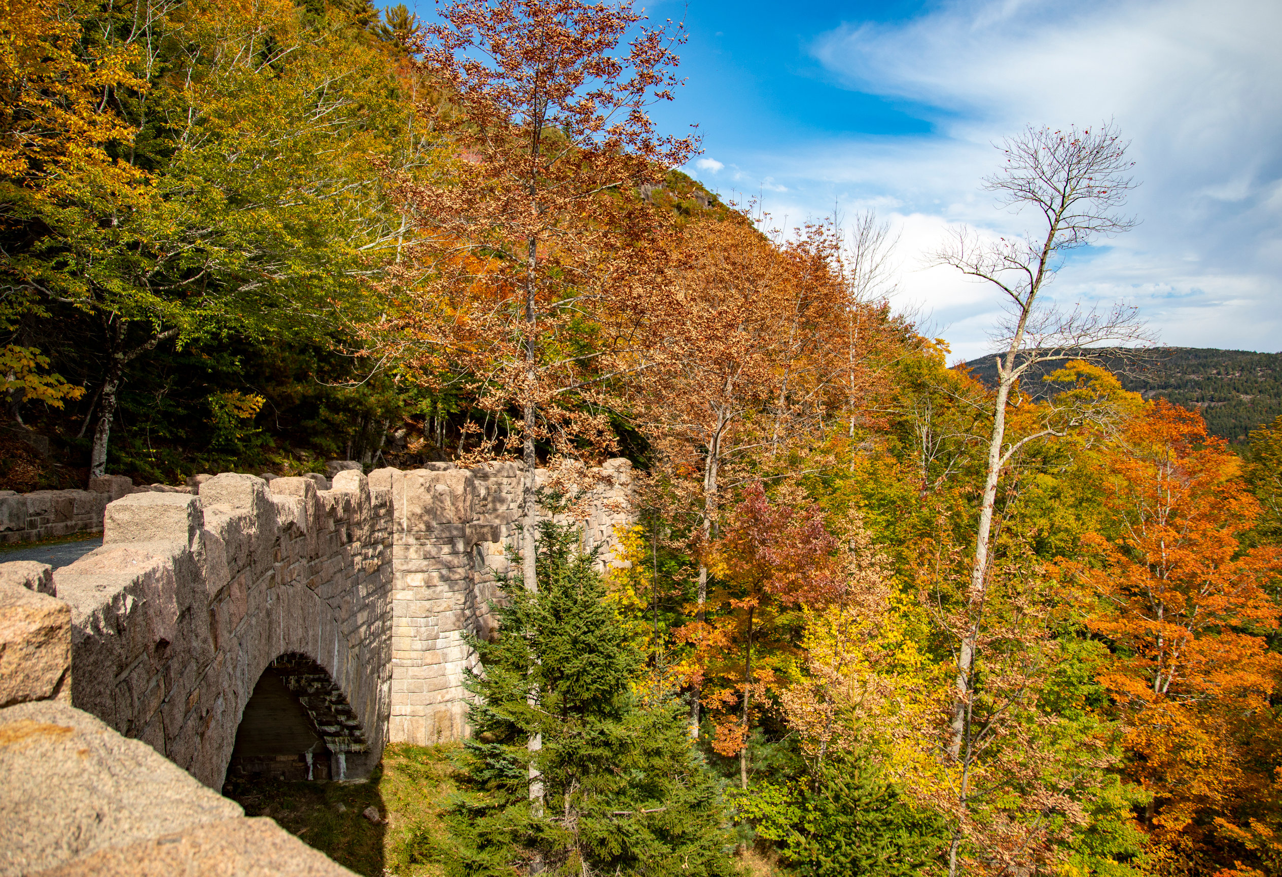 Fall foliage on Acadia National Park carriage roads