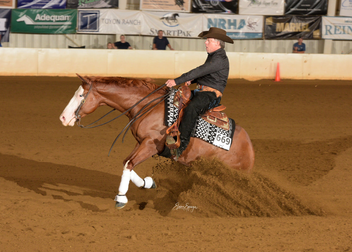 View Horse Show Galleries Here