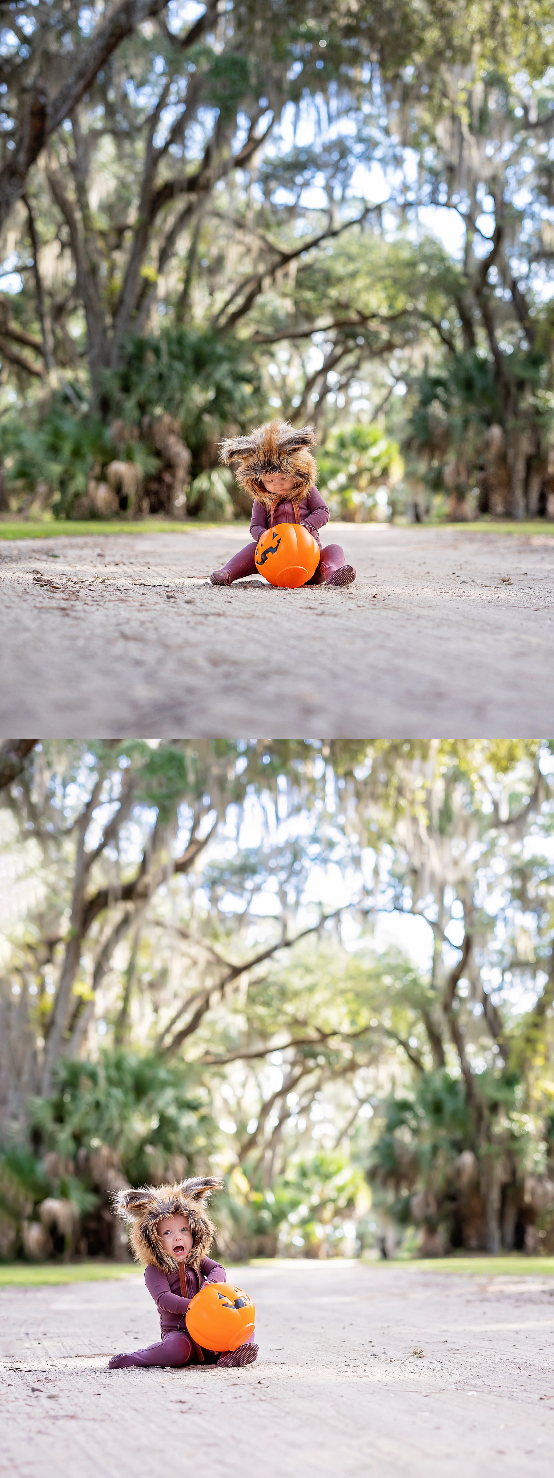 little boy dressed in wolf costume