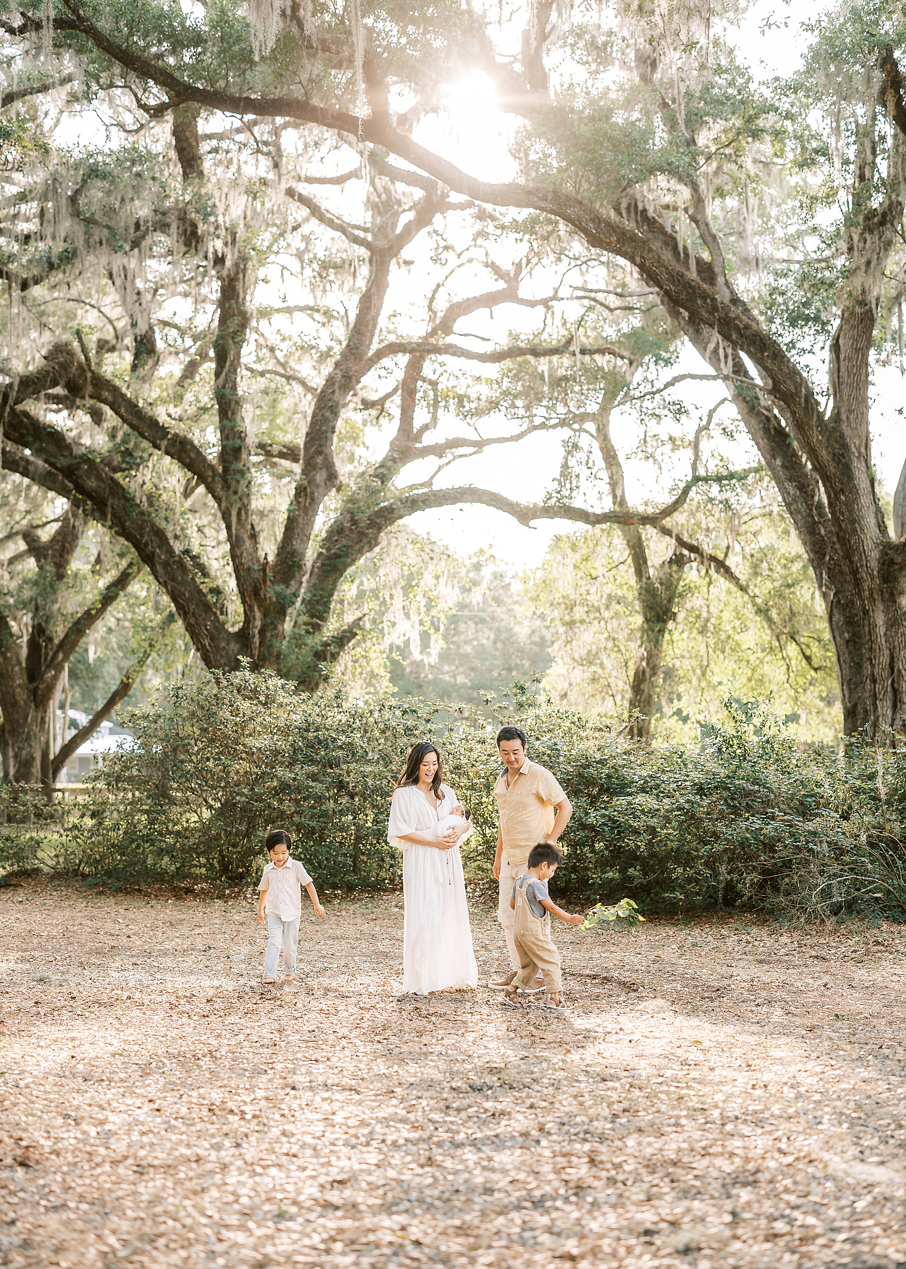 light and airy outdoor newborn lifestyle image of family playing under an oak tree in Gainesville, Florida
