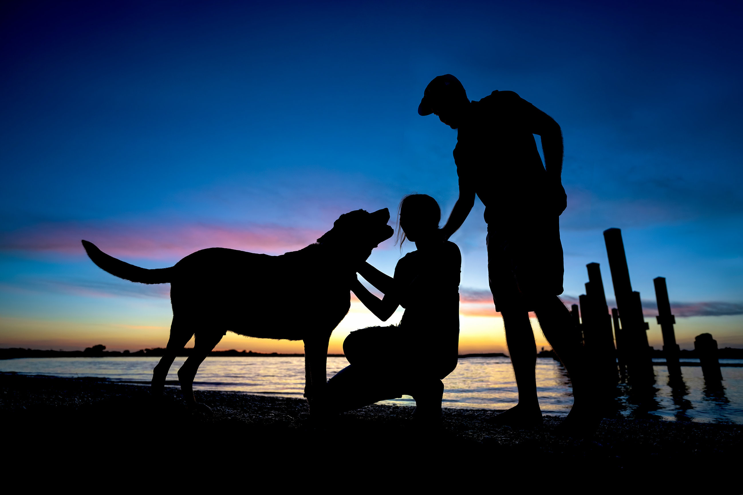 Pet portrait by The PAWtographers