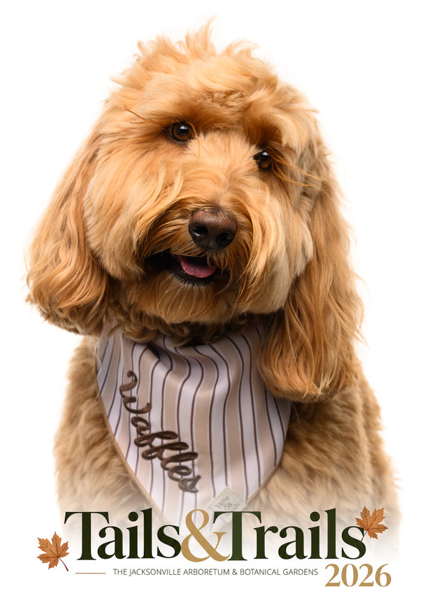 Dog portrait from Tails and Trails 2026
