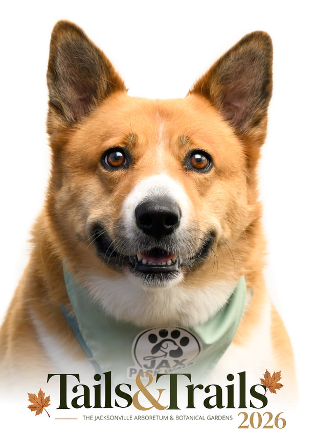 Tails and Trails 2026 dog portrait