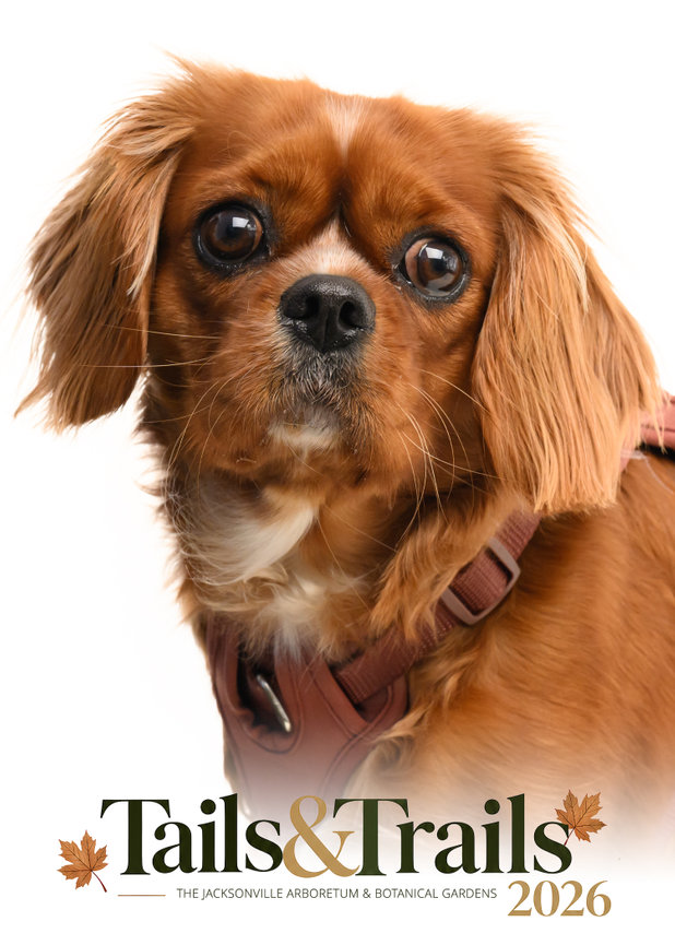 Tails and Trails 2026 dog portrait
