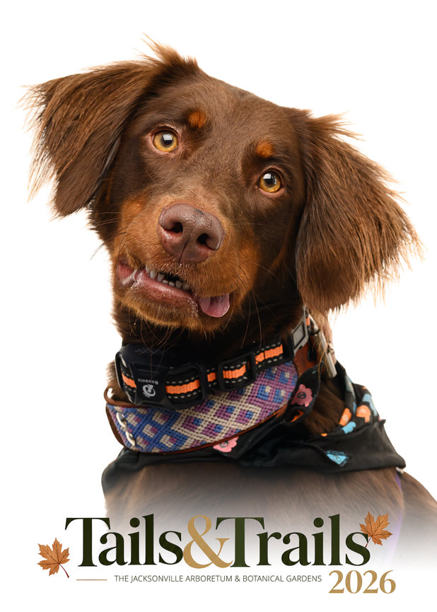 Tails and Trails dog portrait fundraiser