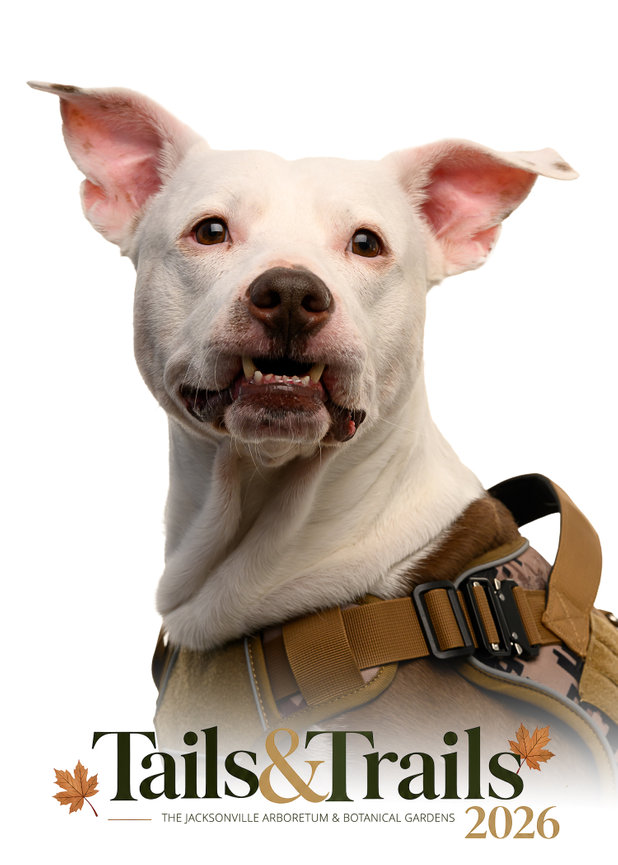 Tails and Trails 2026 dog portrait
