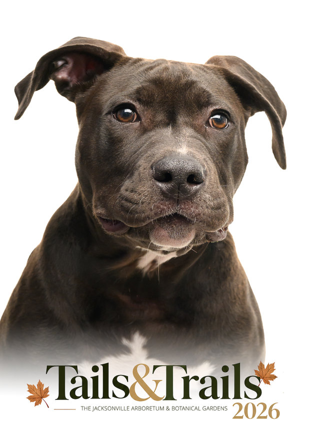Tails and Trails 2026 dog portrait
