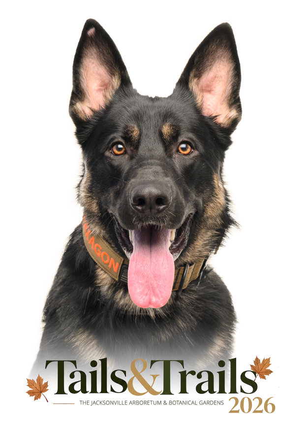 Tails and Trails 2026 dog portrait